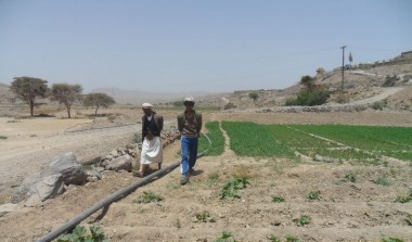 Irrigation system project in Belad Arlrous - Sanaa 2010